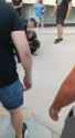 VID_20250712_004749_378_thumb.jpg