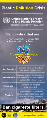 Plastic-Pollution-Infographic (1)