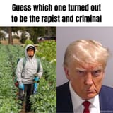 Trump - rapist and criminal