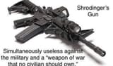 schrodingers gun