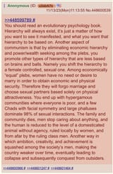 Hierarchy Will Always Exist - Women - Civilization Collapse