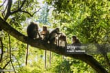 gettyimages-1134242509-612x612