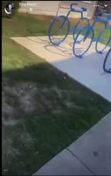 Fake_Bicycles