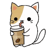 coffee-kitty
