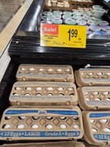 eggs