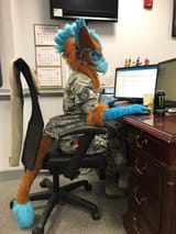 Fury Airforce