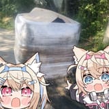 1717702354474850