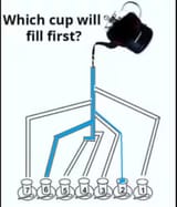 solution