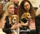 Human vs jewish subhuman