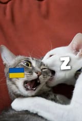 1676156455935824m
