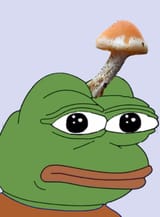 1709164901812091