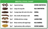 BristollStoolChart