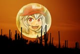 awoo sunset desert