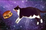 kot burger heaven