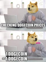 dogecoin_is_money