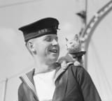 halifax-cat