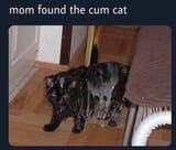 1709347231691165