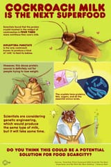 ze roachmilk