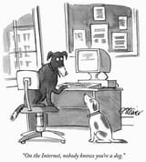 Internet Dog