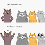 caturdays