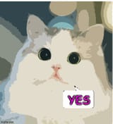 yescat1