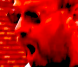 paddock shocked
