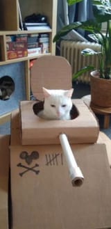 mouse-hunter-tank
