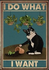 Cat-does-what-he-wants