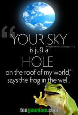 frog-in-the-well-2