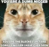 1732752532412153