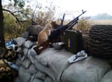 cat-with-pkm