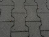 IMG_20250712_102612_1