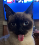 guzgu