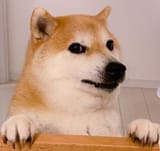 jgjjv