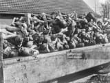 mittelbau-dora-concentration-camp-1945[1]