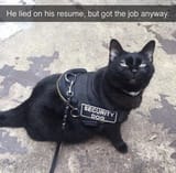 sus good boy