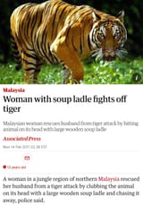 tiger beating wife