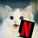 cat_netf