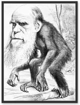 darwin_monkey