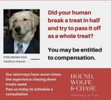 your-cat-dog-may-be-entitled-to-compensation