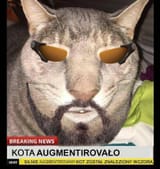 1744875415461851
