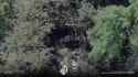 A North Korean Type 75 multiple rocket launcher was destroyed by Ukraine’s 1st Presidential Brigade in the Kupiansk sector. 11-07-2025 HD_thumb.jpg