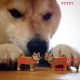 which dog