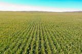 nebraska-irrigated-farm-31