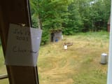 cluckshed