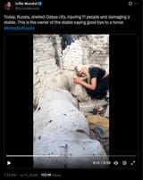 IuliiaMendel 11-07-2025 Today, Russia, shelled Odesa city, injuring 11 people and damaging a stable HD owner of the stable saying good bye to a horse