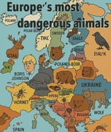 animals