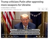 Trump Traitor Pigger