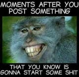 ShitpostingFaceTrollingMonkey