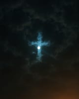 1746326537